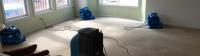 Emergency Carpet Water Damage Restoration Sydney image 3